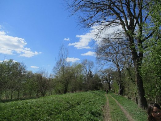 Unterwegs im Unterfeld und in der Umgebung