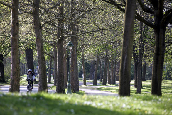 Radfahrer im Grüngürtel in der Oberstadt