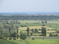 Ein Teich im Schutzgebiet Laubenheimer Ried ist abgebildet.