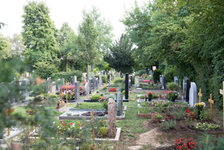 Bildergalerie "Friedhöfe - Mainz-West" Natur pur: Ein Grabfeld auf dem Bezirksfriedhof Mainz-West.