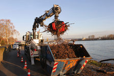 Bildergalerie "Hochwasser - Aufräumarbeiten" Ein Container zum Abtransport reicht meistens nicht aus.