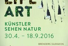 Bildergalerie Sonderausstellungen Wild Life Art. Künstler sehen Natur.