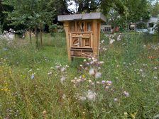 Insektenhotel auf Blumenwiese