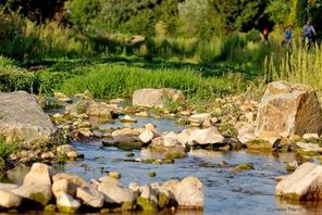 Wasserlauf im Gonsbachtal © Heike Tharun