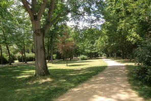 Parkweg der Wallgrünanlagen © Grossbach