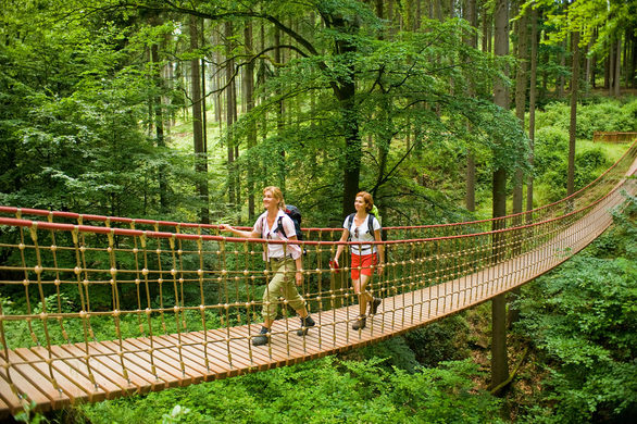 Wanderer im Binger Wald