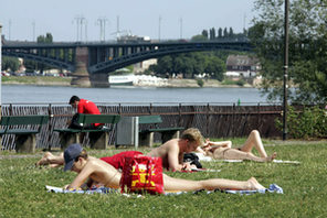 Drei Mainzer sonnen sich auf einer Liegewiese © Landeshauptstadt Mainz