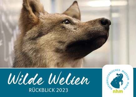 Wilde Welten Rückblick 2023.