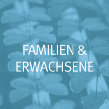 Familien und Erwachsene.