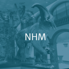 Alle Infos zum nhm.