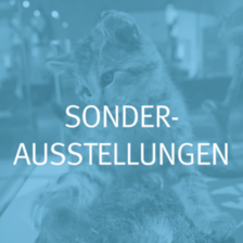 Unsere Sonderausstellungen.