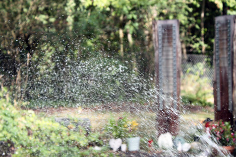 Glitzernd: Eine Momentaufnahme auf dem Friedhof in Gonsenheim.