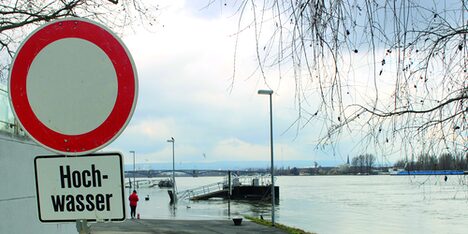 Das Rheinufer bei Hochwasser.