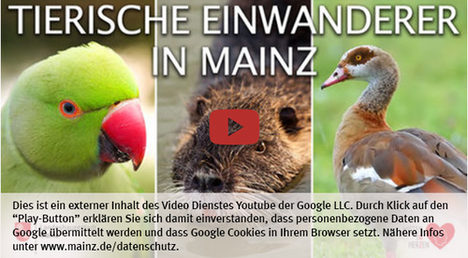 Die Landeshauptstadt Mainz nutzt den Video-Dienst Youtube.  Vor einem Klick auf den Play-Button empfängt Youtube keine Daten und setzt keine Cookies. Nähere Informationen über Youtube finden Sie in den Datenschutzinformationen zu unserem Youtube-Kanal: www.mainz.de/datenschutz