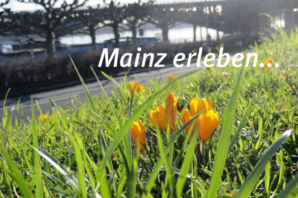 Das Rheinufer zu Frühlingsbeginn. © Landeshauptstadt Mainz