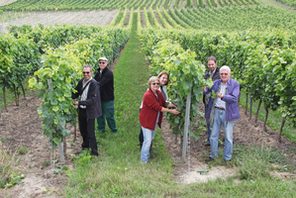 Gruppe Winzer für ein Jahr © Kultur- und Weinbotschafter Rheinhessen