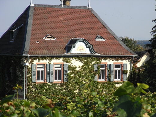 Im Weingut Brüder Dr. Becker ist Nachhaltigkeit ein fortwährender Prozess.